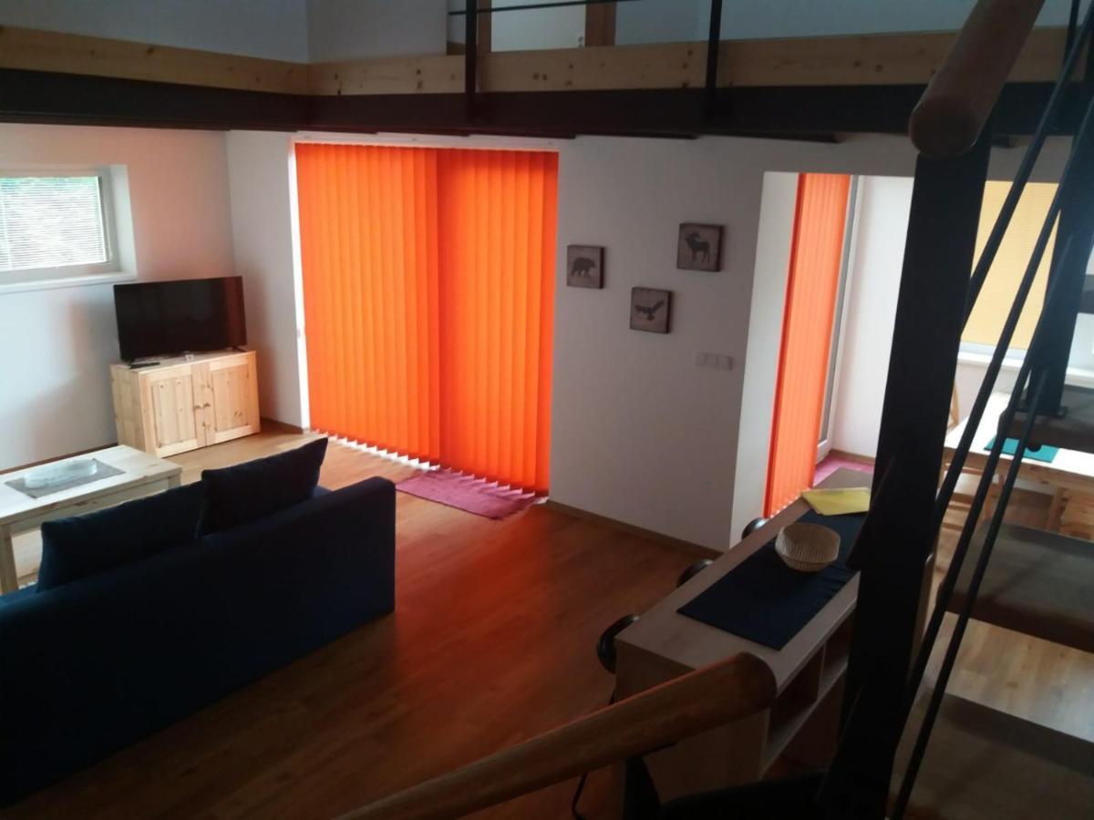 Apartman Vanessa II Černá v Pošumaví المظهر الخارجي الصورة